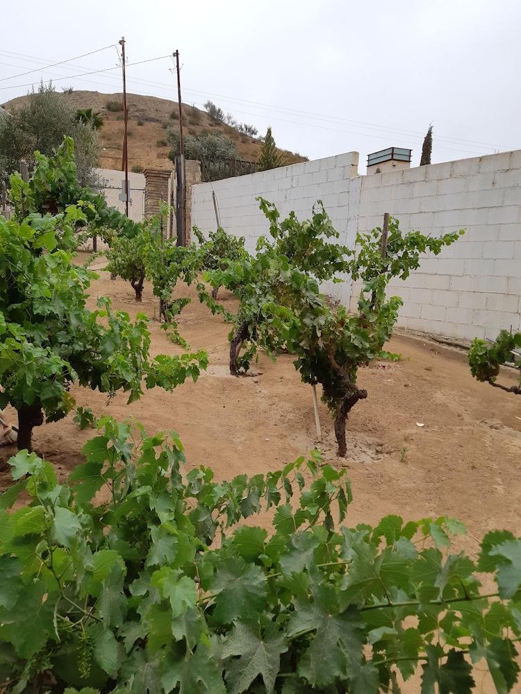 Hotel Meson Del Vino Valle de Guadalupe Eksteriør bilde