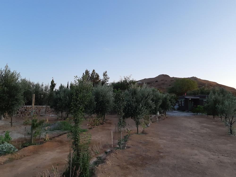 Hotel Meson Del Vino Valle de Guadalupe Eksteriør bilde