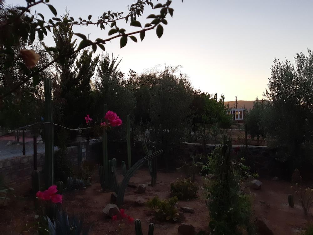 Hotel Meson Del Vino Valle de Guadalupe Eksteriør bilde