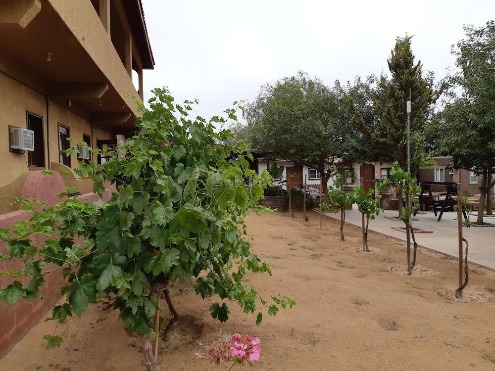 Hotel Meson Del Vino Valle de Guadalupe Eksteriør bilde