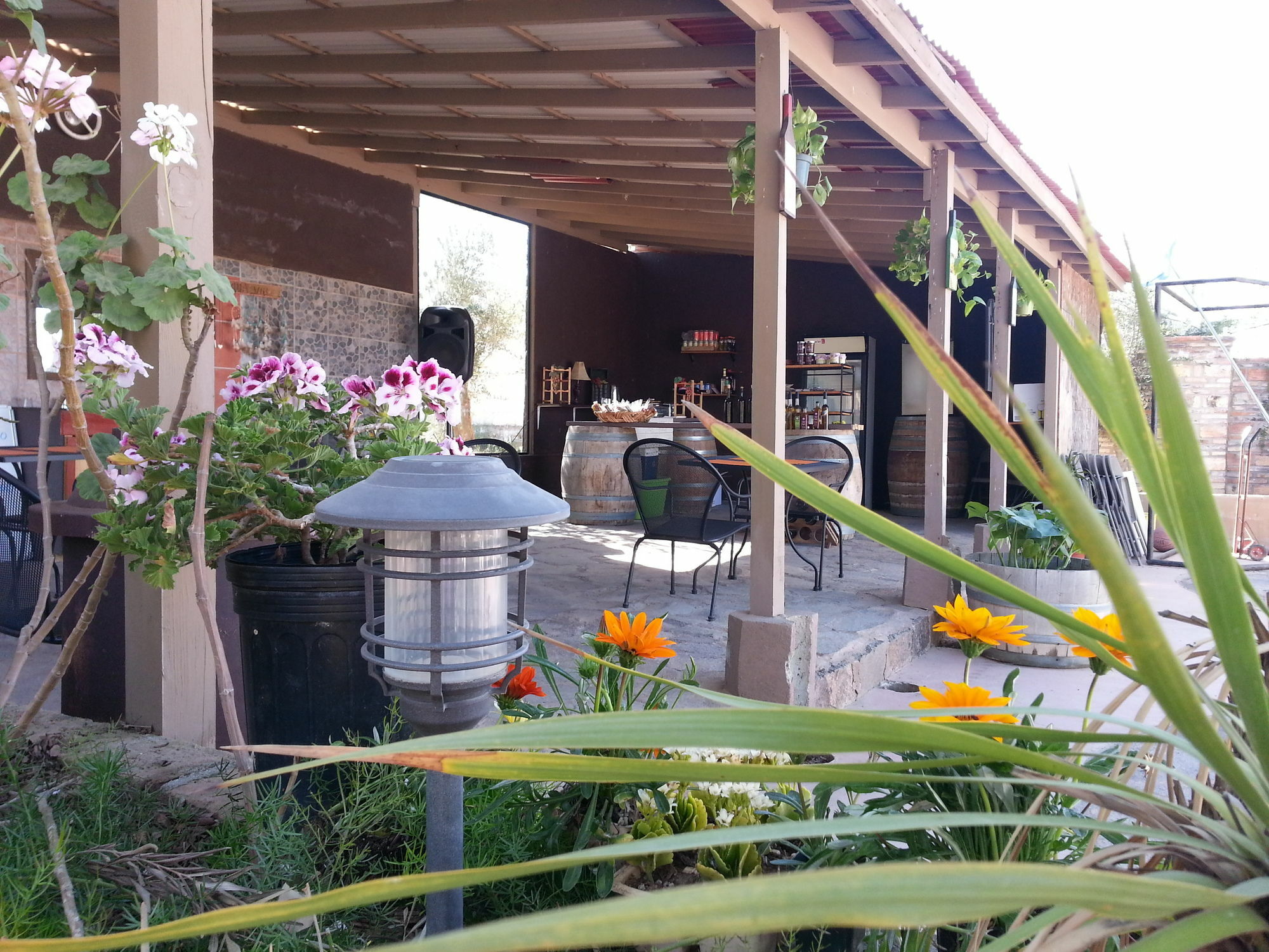 Hotel Meson Del Vino Valle de Guadalupe Eksteriør bilde
