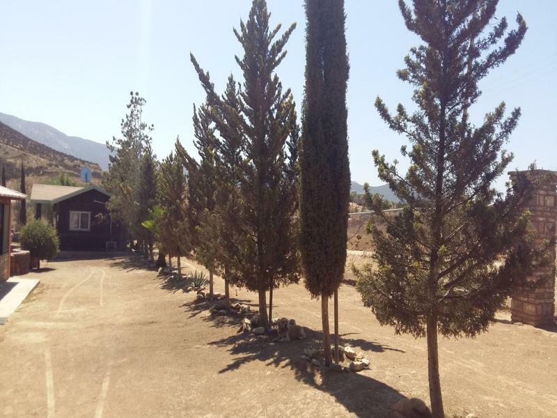 Hotel Meson Del Vino Valle de Guadalupe Eksteriør bilde