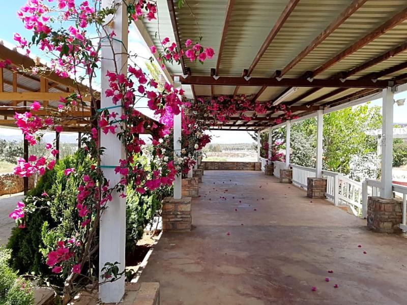 Hotel Meson Del Vino Valle de Guadalupe Eksteriør bilde