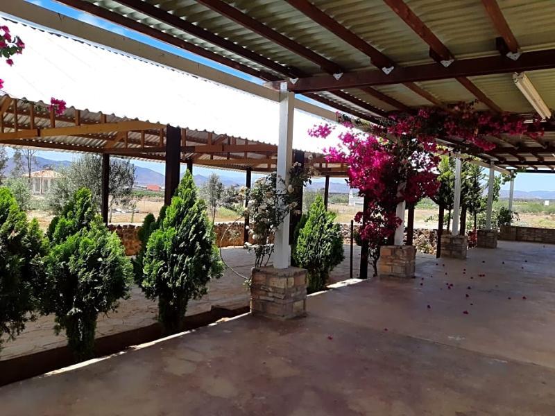 Hotel Meson Del Vino Valle de Guadalupe Eksteriør bilde
